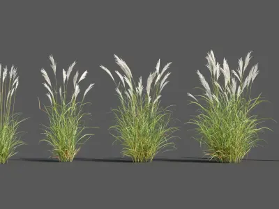 Plants Pack 3: Ornamental Grasses (+GrowFX) 