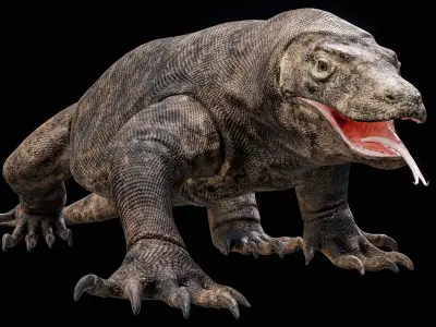  Komodo Dragon Detailed Rigged PBR 
