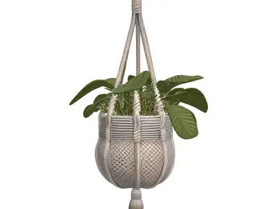Macrame Hanging Plant with Pot Low-poly 3D model