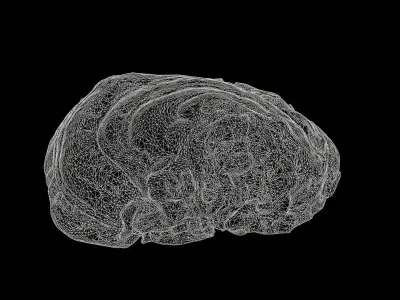 Mushroom photoscan - FomesFomentarius Low-poly 3D model