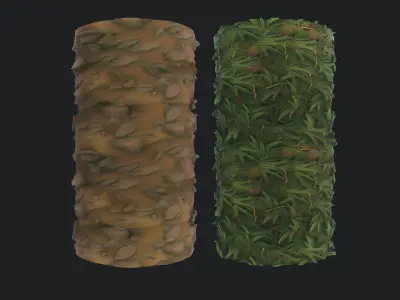 Grass Ground Texture Texture