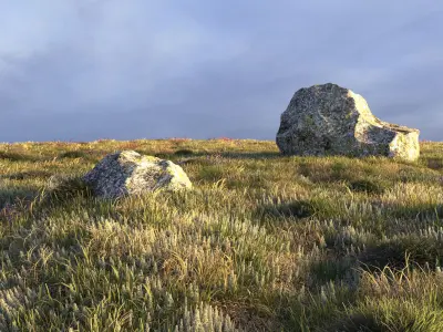 Field grass and corona scatter 3D model