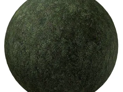 9 seamless moss texture 4096x4096 Texture