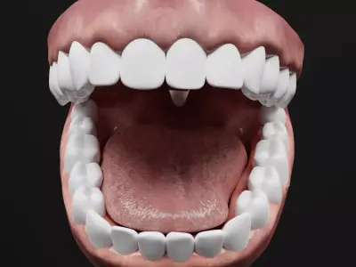 Teeth Impression Gums and Tool 3D model