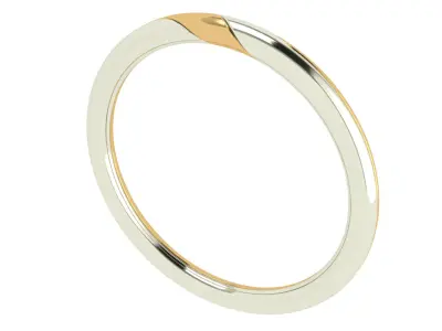 Bicolor Twisted Rings - Slim Pack 3D print model