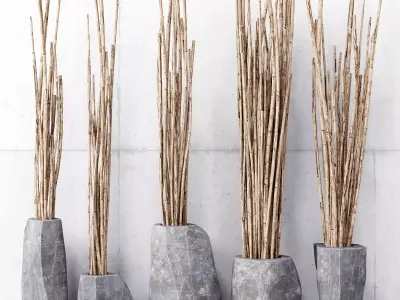 Dranch in vase 3D model