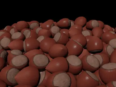 Hazelnut Low-poly 3D model