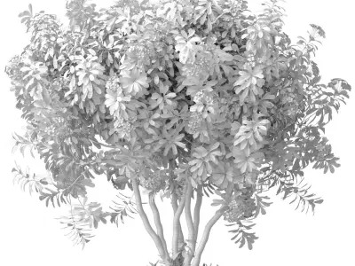 Outdoor garden plant tree shrub flowerbed with yellow flowers 3D model