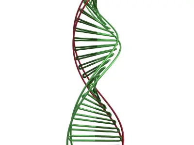 DNA Molecule v3 007 Low-poly 3D model