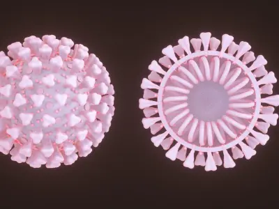 COVID - 19 Coronavirus Free 3D model