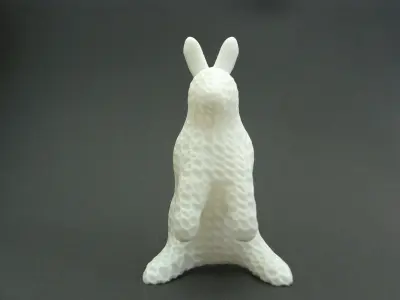 Voronoi bunny  3D print model