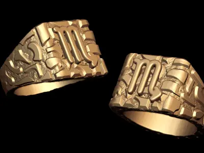 Scorpio Horoscope Zodiac Nugget Ring  3D print model