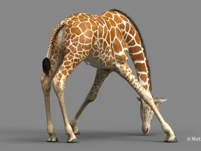  Giraffe PRO 
