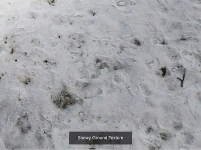 PBR Textures Collection Texture