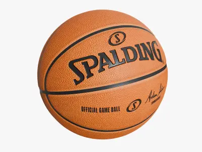  Basketball Ball Collection StemCell 