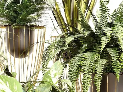 INDOOR PLANT SET 03 3D model