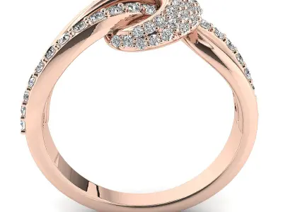 The ciarah ring 3D print model