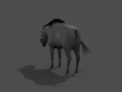 Hell Pig - daeodon shoshonensis 3d model 3D model