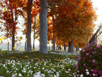 Autumn Road - Full Model Sketchup - V-ray Render 3D model