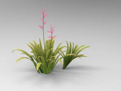 Grass plants Free low-poly 3D model