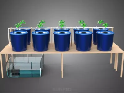 BATO CULTIVATION FRUITS VEGETABLES PLANT HYDROPONIC FARM GARDEN 3D model