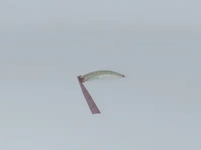 Bridge on Cresent Lake. Free 3D model