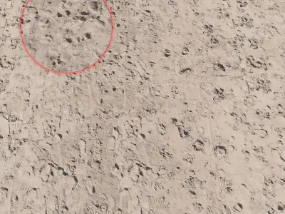 Beach sand Scan 3D model