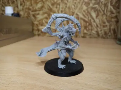 The Elder One 3D print model