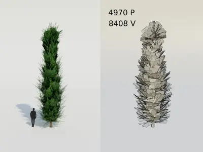 Spruce Fir Trees pack Low-poly 3D model