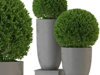 Plants collection 327 3D model