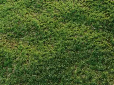 Grass for landscaping exterior  3D model