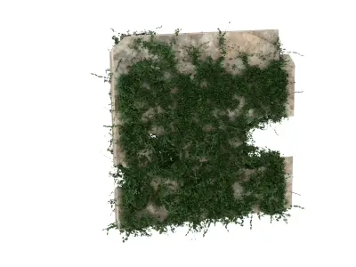 Moss Wall 3D model