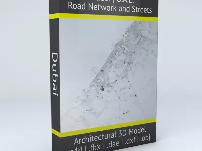 Dubai Road Network and Streets 3D model