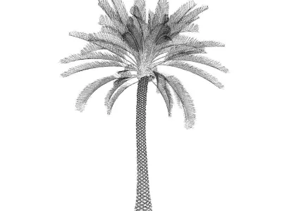 Palm Tree 3D model
