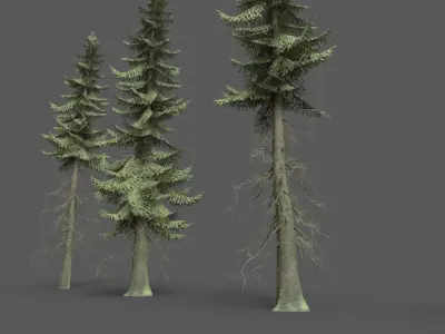 PINE TREE PACK Low-poly 3D model