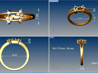 Light weight ring model  3D print model