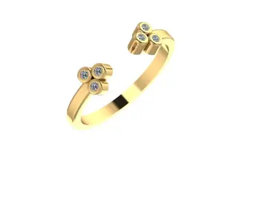 Ring - Gold - Silver 3D print model