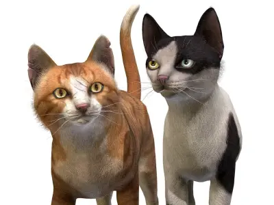 Cats -Stray Low-poly 3D model