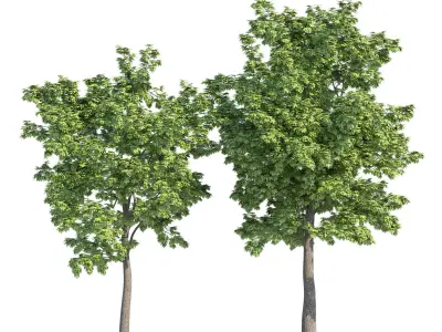 Croso circles grille 3D model