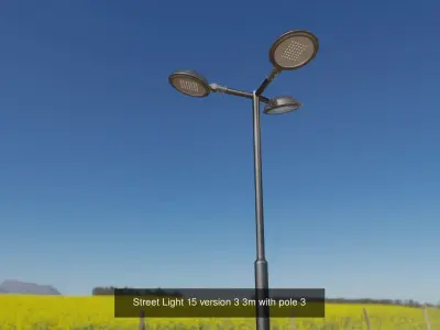 Street Light 15 with pole 3 3D Model Pack