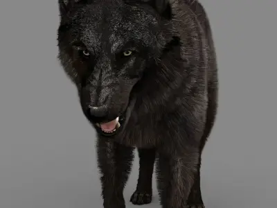 WOLF rigged character 3D model