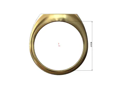 Round signet ring with gothic ornament N02 3D print model