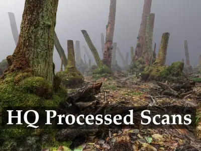 Mossy Tree Collection - Processed Scans PBR 4K Low-poly 3D model