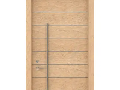 Door-109 3D model