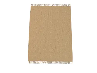 Carpet Natural Jute ZARA HOME 3D model