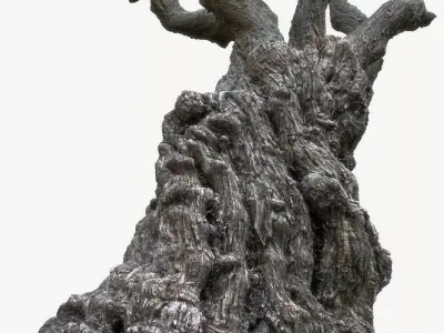 PBR Game Ready 3DModel TreeTrunk1 Maya ZBrush MarmosetToolbag Low-poly 3D model