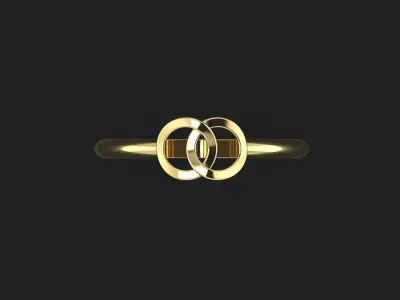 Ring Circles 3D print model
