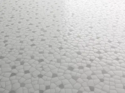 Gaudi White Mosaic Floor with Inserts 08 Texture