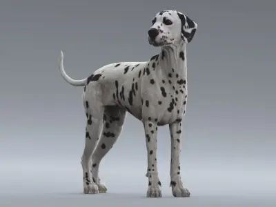  Dalmatian Rigged 