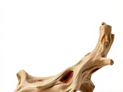 Driftwood with Copper Accents Model Pack Low-poly 3D model